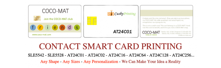 AT24C02 Contact Smart Cards Pack of 500 AT24C02 Contact Smart Cards Pack of 500