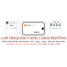 125KHz EM4200 RFID Contactless Smart Cards Pack of 500