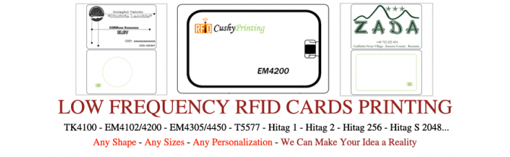 125KHz EM4200 RFID Contactless Smart Cards Pack of 500